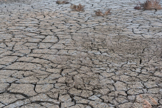 Drought