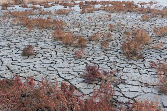 Drought