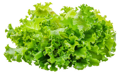 Fototapeta premium A bunch of green lettuce leaves, cut out - stock png.