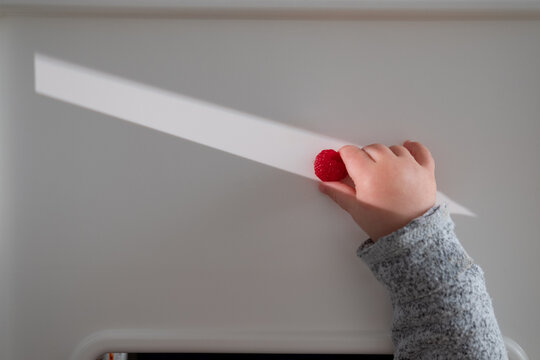 Baby boy's hand with raspberry