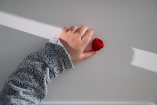 Baby boy's hand grabs a raspberry