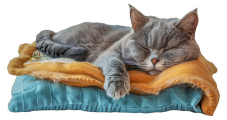 A cat is sleeping on a blue and yellow blanket, cut out - stock png.