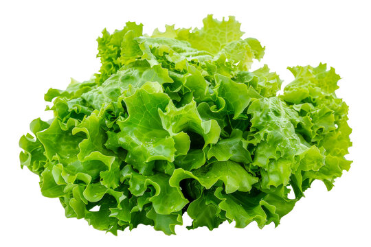 A bunch of green lettuce - stock png.