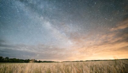 milky way over wheat field night sky in summer