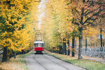 Prague tram in the autumn