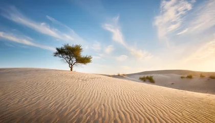 Kissenbezug stunning view of rippled sand dunes and lonely tree growing under amazing blue sky at drought desert landscape global warming concept nature background © Adrian