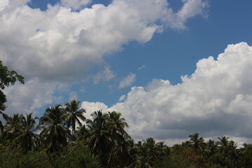 Fototapeta na wymiar Cloudy blue sky with trees