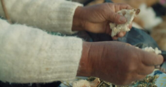 Hands of a Traditional Indigenous woman in Sajama