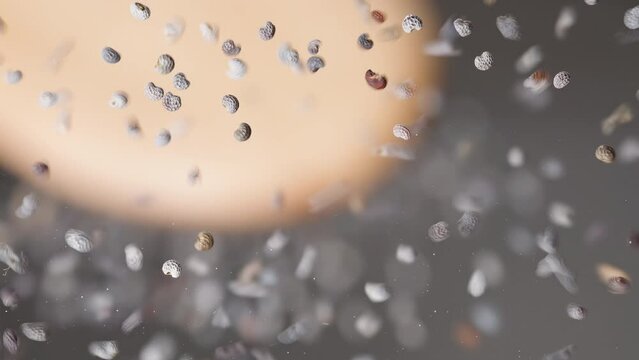 View from under the glass, poppy seeds spill from the wooden spoon onto the camera.