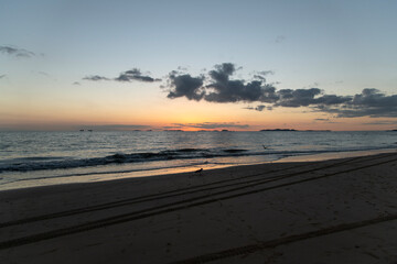 Seascape with the seagull on the beach