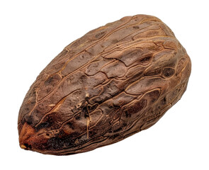 A large brown nut with a rough surface, cut out - stock png.
