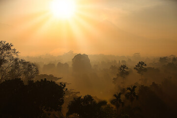 Hazy sunshine in the morning over Indonesian tropical rain forest
