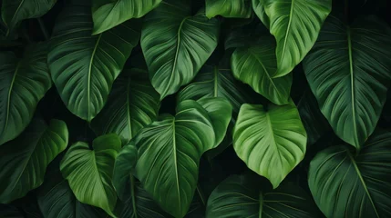Fotobehang Tropical leaves pattern © Aida