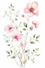 Obraz na płótnie Canvas Close-up of flowers