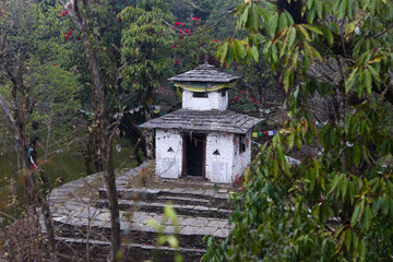 Panchase Temple in Lake with Rhododendron