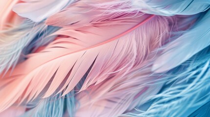Obraz premium Beautiful pastel colored feathers phone wallpaper, hyper realistic detailed in the style of photography. Art, abstract, and beautiful background.