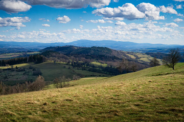 Fototapeta premium A grassy hill covered in greenery with a few trees scattered at the top