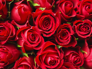 bunch of red roses