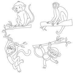 Monkey Clipart Set. Cartoon Wild Animals Clipart Set for Lovers of Wildlife.