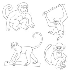 Monkey Clipart Set. Cartoon Wild Animals Clipart Set for Lovers of Wildlife.