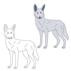 Wolf Clipart Set. Cartoon Wild Animals Clipart Set for Lovers of Wildlife.