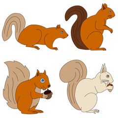 Obraz na płótnie Canvas Squirrel Clipart Set. Cartoon Wild Animals Clipart Set for Lovers of Wildlife. 