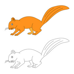 Squirrel Clipart Set. Cartoon Wild Animals Clipart Set for Lovers of Wildlife. 