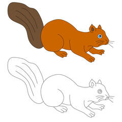 Squirrel Clipart Set. Cartoon Wild Animals Clipart Set for Lovers of Wildlife. 