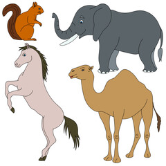 Cartoon Wild Animals Clipart Set for Lovers of Wildlife. squirrel, elephant, camel, horse 