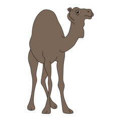 Colorful Camel Clipart. Cartoon Wild Animals Clipart Set for Lovers of Wildlife. 