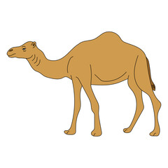 Colorful Camel Clipart. Cartoon Wild Animals Clipart Set for Lovers of Wildlife. 