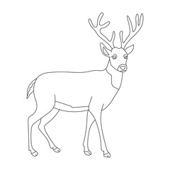 Outline Deer Clipart. Cartoon Wild Animals Clipart Set for Lovers of Wildlife. 