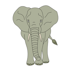 Colorful Elephant Clipart. Cartoon Wild Animals Clipart Set for Lovers of Wildlife. 