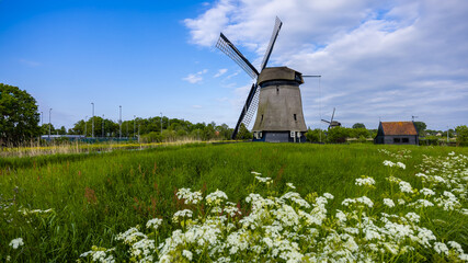 Historic windmill by the canal and wildflowers in the Netherlands.