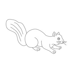 Kawaii Squirrel Clipart. Cartoon Squirrel Clipart