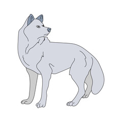 Wolf Clipart for Wildlife and Wild Animals Lovers. Colorful Cartoon Wolf Clipart