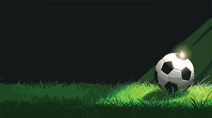 Football soccer ball on grass field in spotlight flat