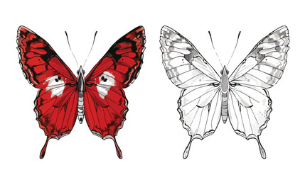 Red and white butterfly for tattoo coloring book for a