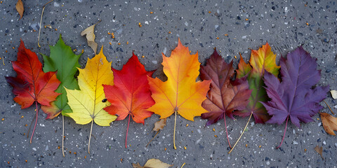 red maple leaves. autumn leaves on the ground. red maple leaves background and wallpaper.