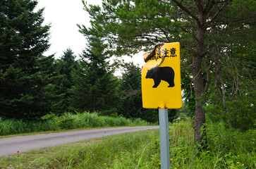 熊注意。日本では熊の被害が年々増加しており、都市圏にも出没してきている。 - obrazy, fototapety, plakaty