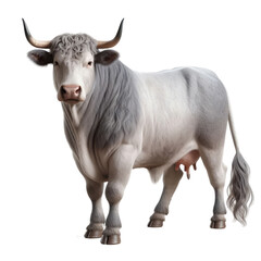 Isolated Animal on a Clear PNG Canvas, Generative AI