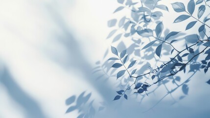 Blue-tinted leaves with soft shadows, ideal for peaceful and minimalist concepts.