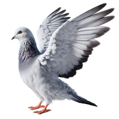 Isolated Pigeon on a Clear PNG Canvas, Generative AI