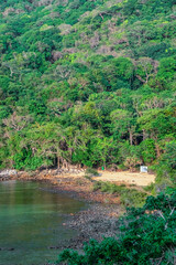 Fototapeta na wymiar Mr Cau beach or Bai Ong Cau and mangroves on Con Dao island, Ba Ria Vung Tau, Vietnam