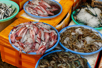 Fresh squid and shrimp at the market