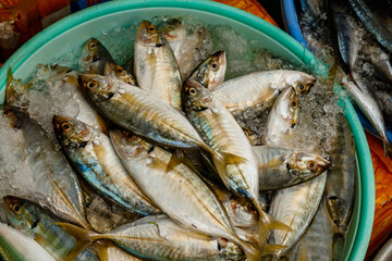 Fresh fish for sale lies in a bowl on ice