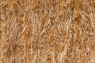 Abstract Farming Background / Closeup of golden pressed straw texture (copy space)