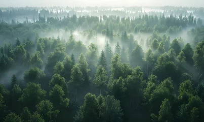 Fotobehang Mistige ochtendstond A aerial shot of a forest in fog