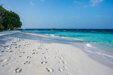 Beautiful sandy beach near a dense tropical forest.