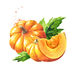 Fresh ripe yellow pumpkin or squash, with leaves. Watercolor hand drawn illustration isolated  on white background - 777991927